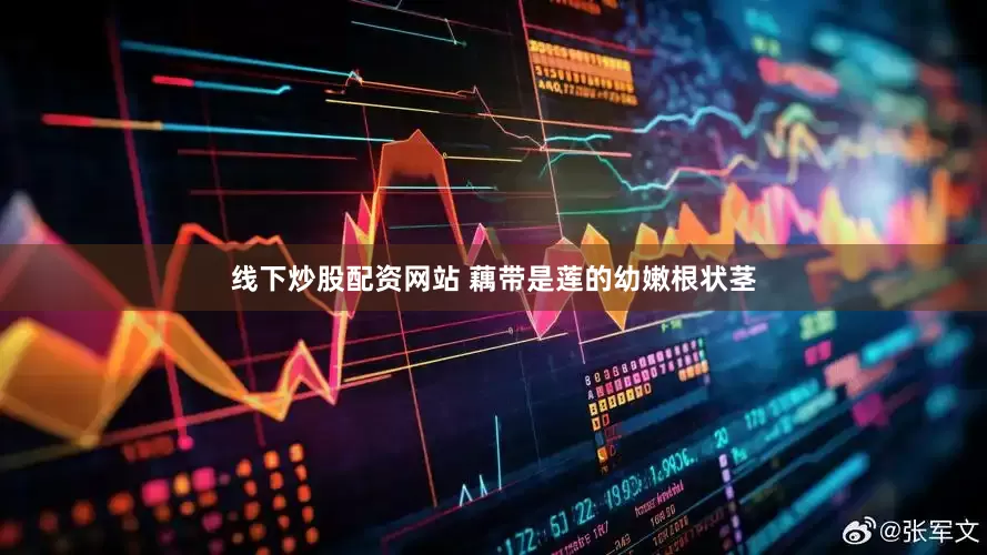线下炒股配资网站 藕带是莲的幼嫩根状茎