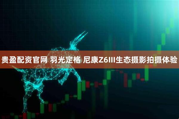 贵盈配资官网 羽光定格 尼康Z6III生态摄影拍摄体验