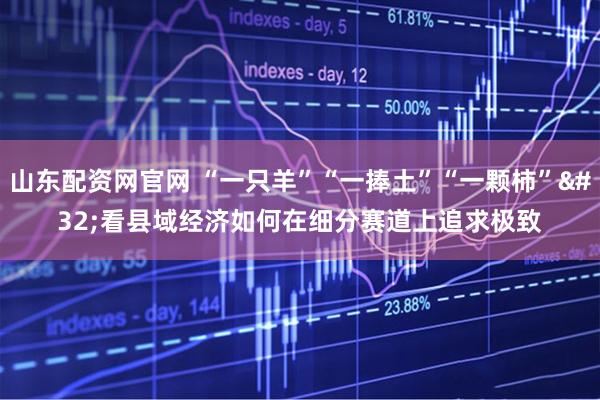 山东配资网官网 “一只羊”“一捧土”“一颗柿” 看县域经济如何在细分赛道上追求极致