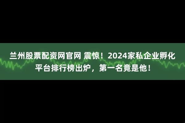 兰州股票配资网官网 震惊！2024家私企业孵化平台排行榜出炉，第一名竟是他！