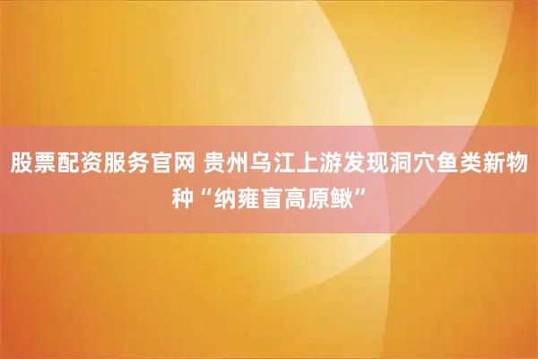 股票配资服务官网 贵州乌江上游发现洞穴鱼类新物种“纳雍盲高原鳅”