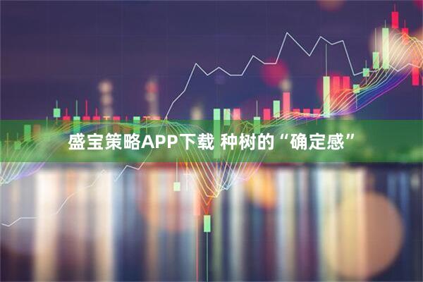 盛宝策略APP下载 种树的“确定感”